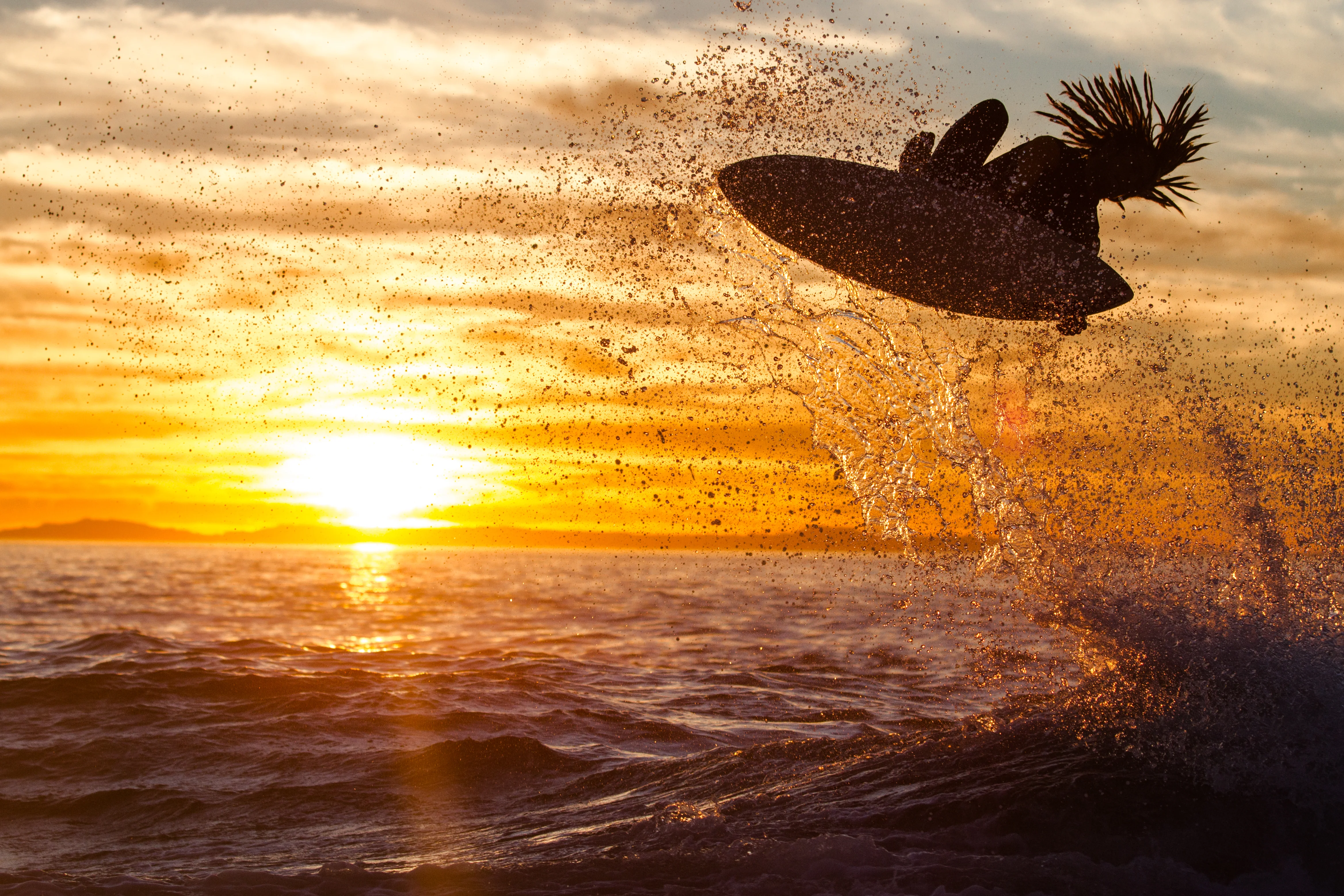 Ride the World's Best Boards